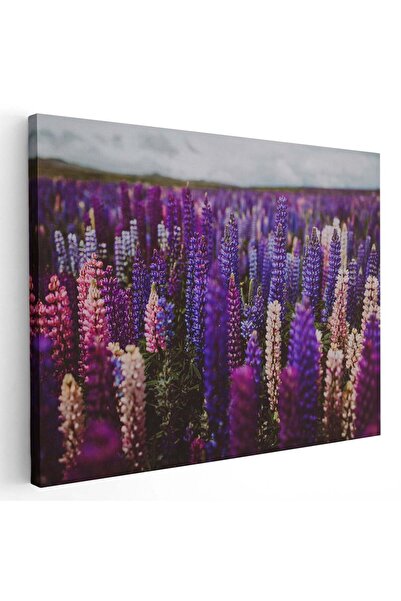 Tablou Canvas Tablou peisaj flori de lupin mov, cod 2664