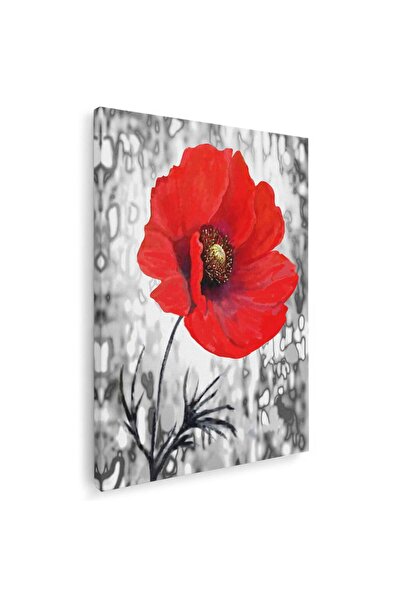 Tablou Canvas Tablou floare de mac rosie, cod 4282