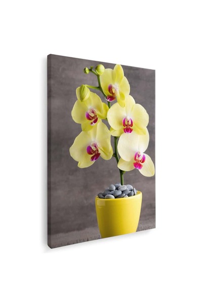 Tablou Canvas Tablou floare orhidee galbena, cod 2615