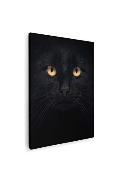 Tablou Canvas Tablou portret pisica neagra pisici, cod 3073