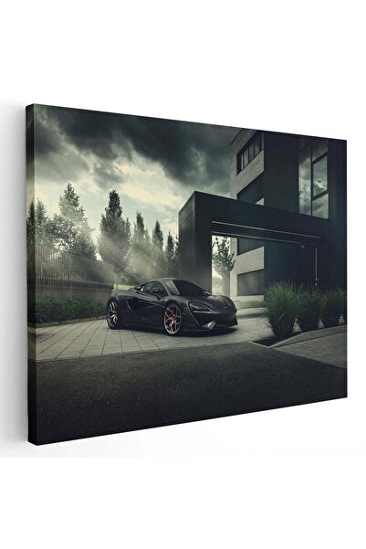 Tablou Canvas Tablou masina McLaren 570S masini, cod 3158