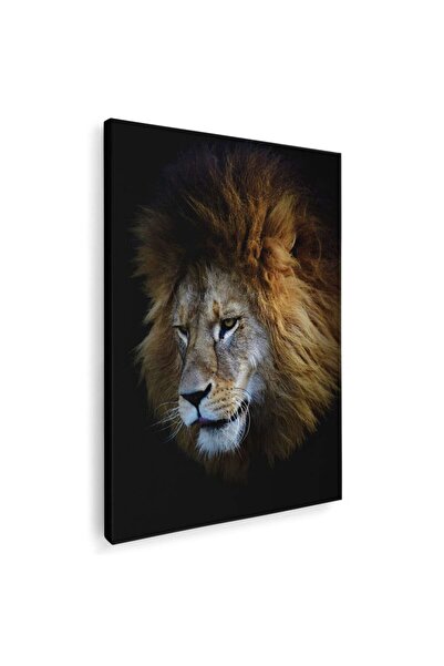Tablou Canvas Tablou portret profil leu, cod 3124