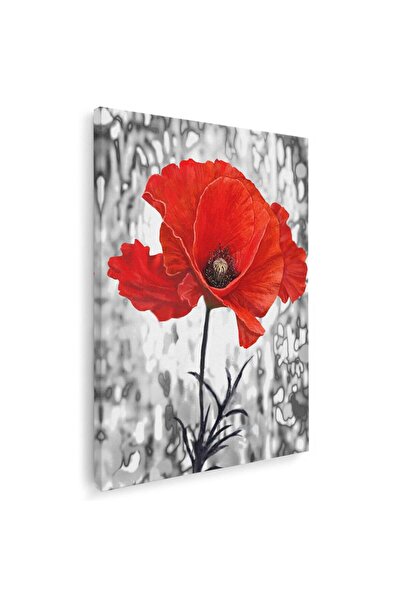 Tablou Canvas Tablou floare de mac rosie, cod 4283