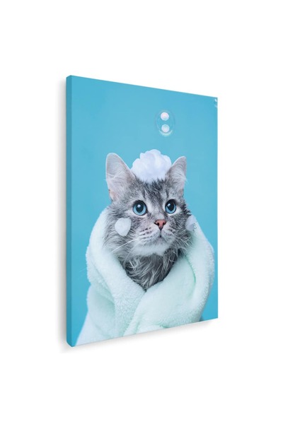 Tablou Canvas Tablou pisica gri in prosop pisici, cod 3087