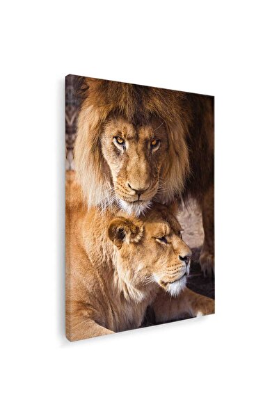 Tablou Canvas Tablou leu cu leoaica, cod 3122