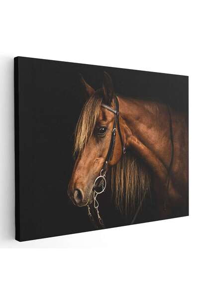 Tablou Canvas Tablou cal maro roscat (roib), cod 3045