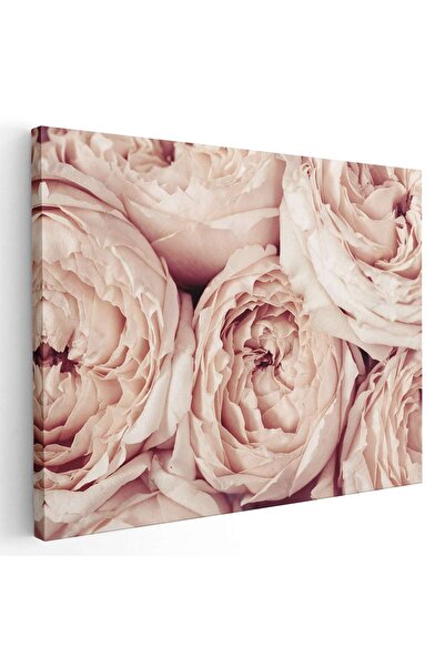 Tablou Canvas Tablou flori de bujor roz, cod 2651