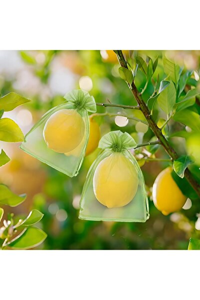 LUXER Set 20 Pungi de Protectie Pentru Fructe si Legume Cu Snur, Dimensiuni 10x15 cm, Verde,