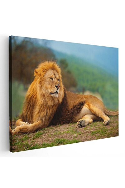 Tablou Canvas Tablou leu odihnindu-se, cod 3253