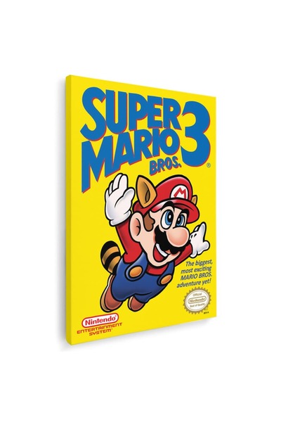 Tablou Canvas Super Mario Bros, cod 3632