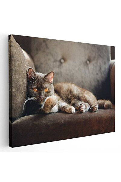 Tablou Canvas Tablou pisica maro pe fotoliu, cod 3059