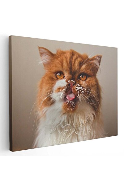Tablou Canvas Tablou pisica portocalie cu limba scoasa, cod 4198