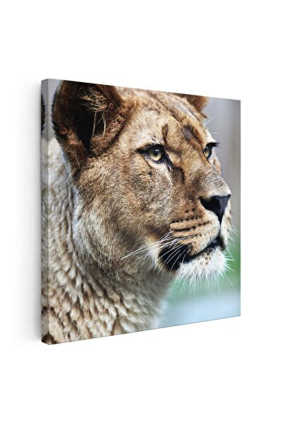 Tablou Canvas Tablou portret profil leoaica, cod 3239