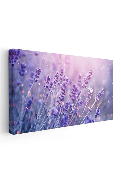Tablou Canvas Tablou peisaj camp de lavanda, cod 1772