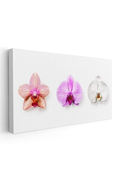 Tablou Canvas Tablou flori orhidee fundal alb, cod 1795
