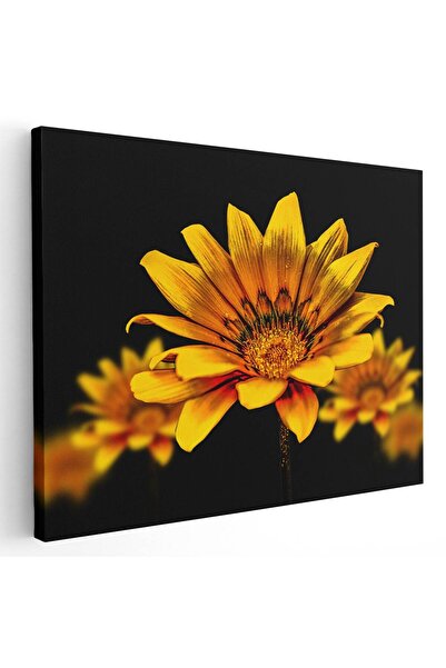 Tablou Canvas Tablou floare de gazanie galbena, cod 2663