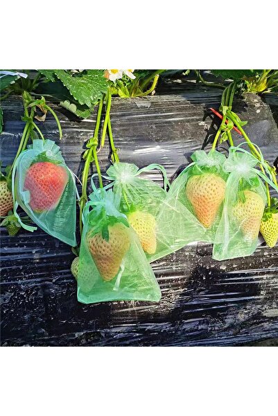 LUXER Set 20 Pungi de Protectie Pentru Fructe si Legume Cu Snur, Dimensiuni 7x9 cm, Verde,