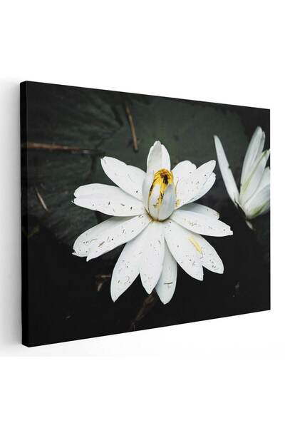 Tablou Canvas Tablou floare de lotus alba, cod 2654