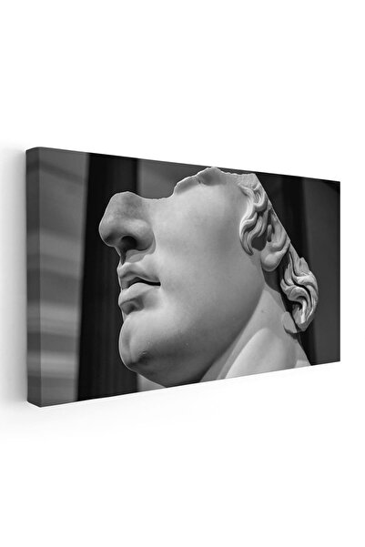 Tablou Canvas Tablou cap statuie barbat, cod 1845