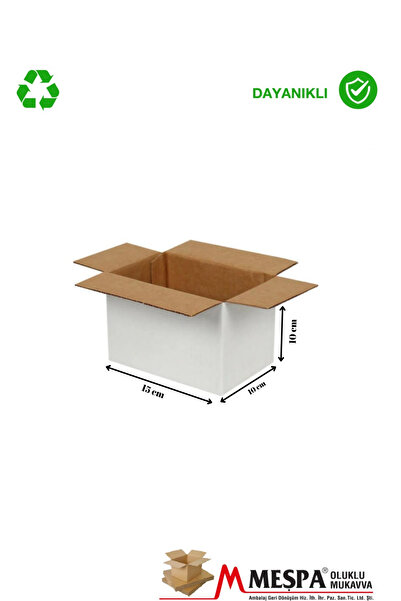 Markasız ucuz 15 x 10 x 10 ölçülü BC dalga 20 li taşıma ve saklama kolisi