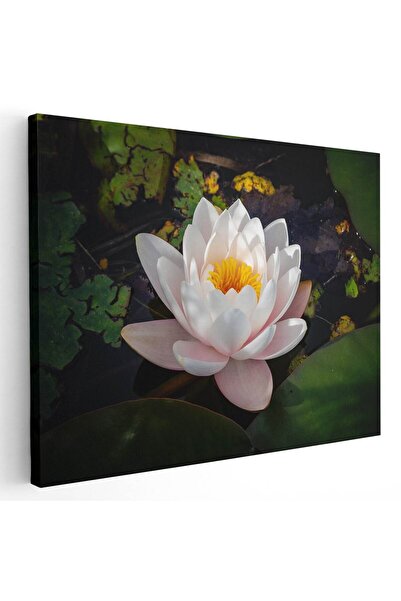 Tablou Canvas Tablou floare de lotus alba, cod 2655