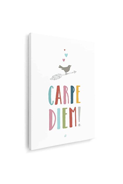 Tablou Canvas Carpe Diem, cod 4406