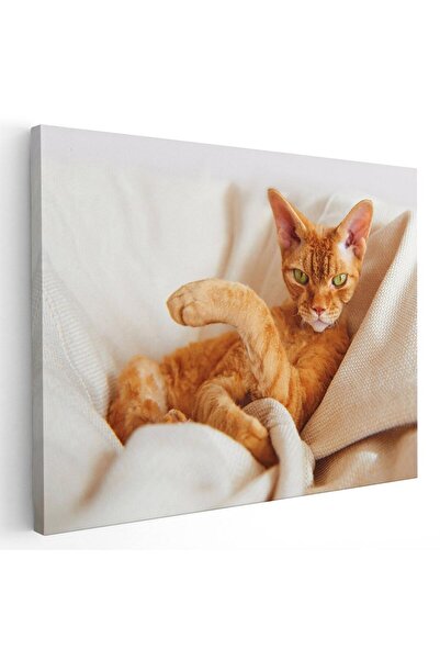 Tablou Canvas Tablou pisica portocalie cu ochi verzi, cod 4208