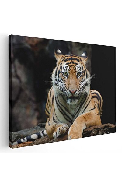 Tablou Canvas Tablou tigru de Sumatra, cod 3240