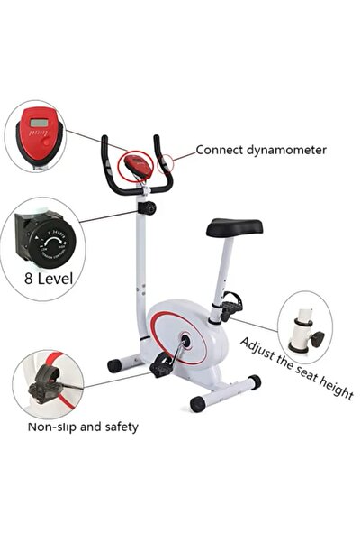saqr fitness Lijiujia 2300 Recumbent Bike with a maximum user weight of 100 kg