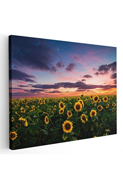 Tablou Canvas Tablou peisaj floarea soarelui apus, cod 2635