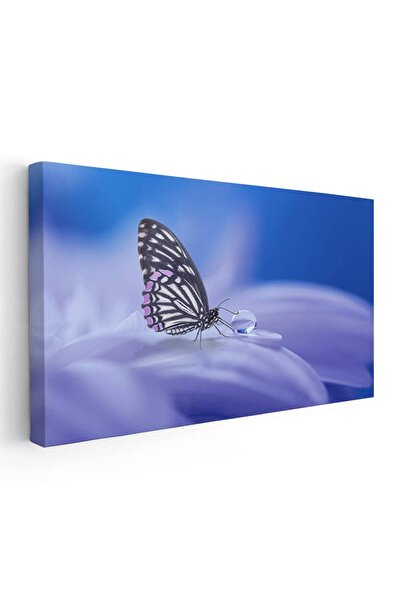 Tablou Canvas Tablou fluture pe floare detaliu, cod 3211