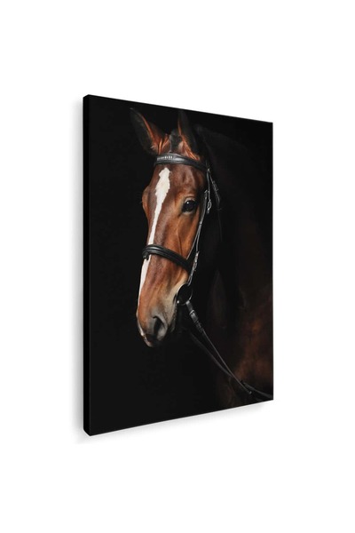 Tablou Canvas Tablou cal brun roscat (murg), cod 3052