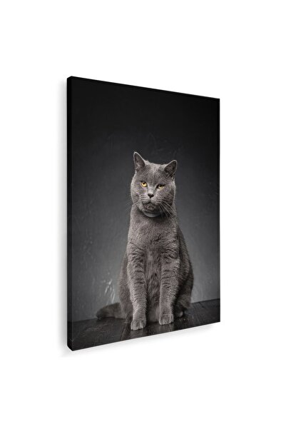 Tablou Canvas Tablou pisica gri Chartreux pisici, cod 3081