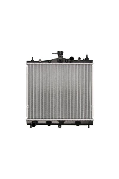 Thermotec Radiator, replacement filter set, Renault CLIO III (BR0/1, CR0/1)