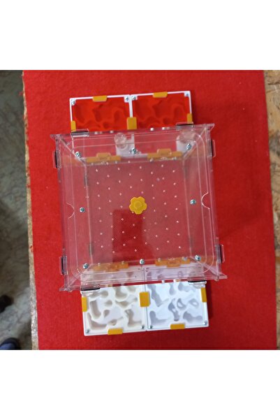 YERLİ MALI Modüler Karinca Besleme Yuvasi