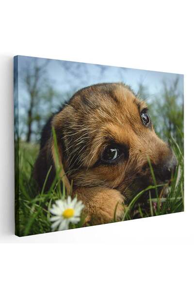 Tablou Canvas Tablou portret caine in natura, cod 4266