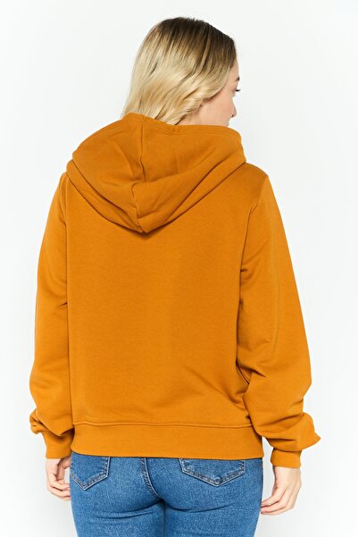 Diesel Women Hooded Long Sleeve Graphic Print Sweatshirts, Rust Brown