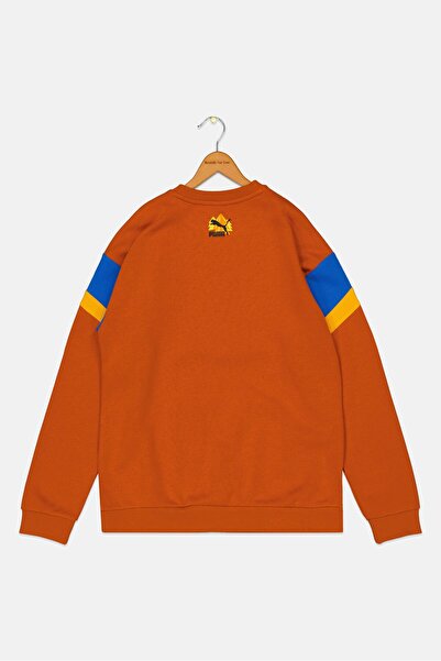 Puma Kids Boy Relaxed Fit Brand Logo Long Sleeves Outdoor Sweatshirt, Rust