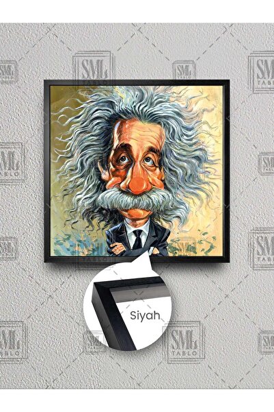 SML TABLO Karikatura Alberta Ajnštajna, fizičar, uokvirena kvadratna slika na...