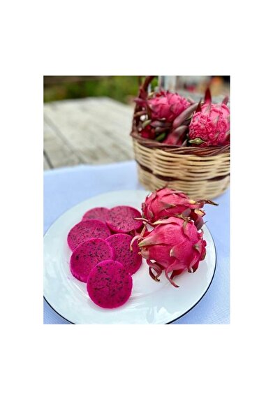 Labari Ejder Meyvesi 1 Kg (250-350 Gram) 3-4 Adet