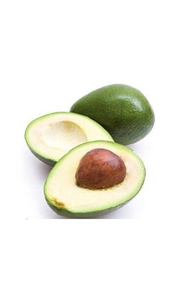 Labari Avokado 1 Kg (Orta Boy - 180/250 Gram) 3-4 Adet