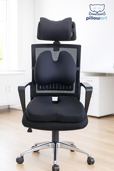 PİLLOWART Orthopedic Pillow Set, Set of 3 That Provides Lumbar, Neck and Hip Support