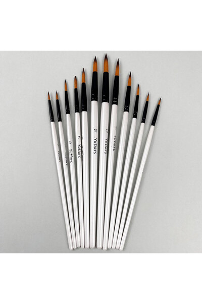 choice2 مجموعة فرش طلاء أكريليك دائرية، 12 قطعة، فرش رسم احترافية للفنانين لأ...