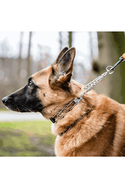 Sprenger Zgarda Dresaj Inox 3.2mm/60cm Cliclock