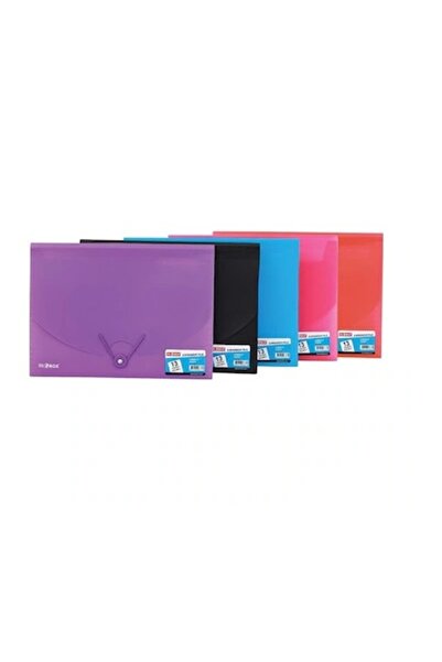 Globox 13 Compartment File Folder with 2 Elastic Bands in Mixed Colors