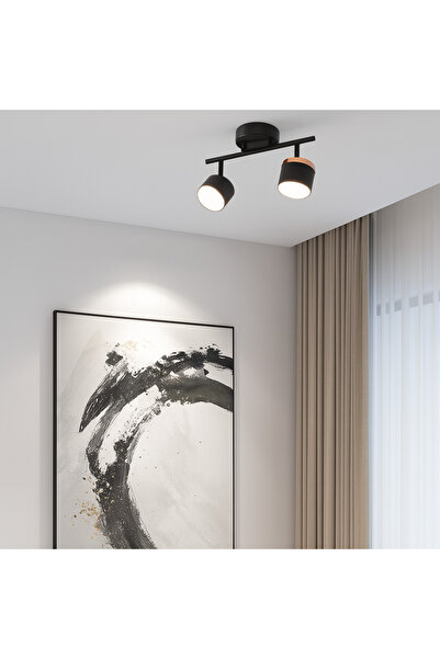 RFAN Lampă de tavan, model DB60310-2, 2 becuri LED GX53, 3 tipuri de lumină, ...