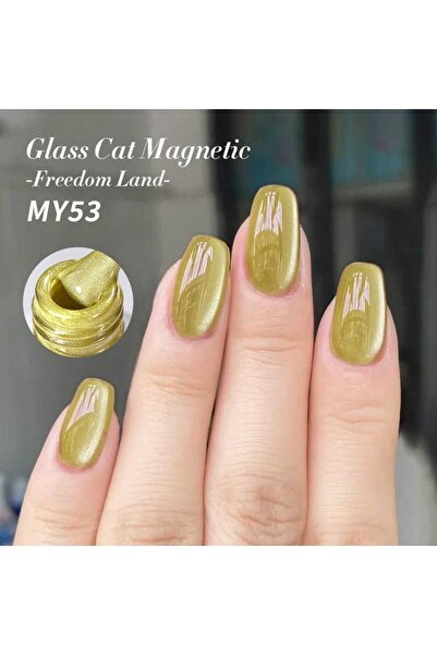 Born Pretty Freedom Land Kedi Gözü Kalıcı Oje(MY53)-10ml