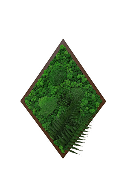 Narium Tablou din lichen 70×50 cm