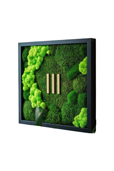 Narium Pictură cu mușchi stabilizat 50×50 cm