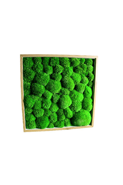 Narium Tablou cu licheni 40x40 cm